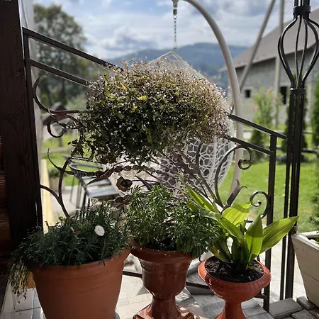 Sosnova gilka Apartmán